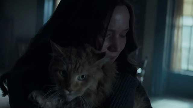 The Hunger 
Games: Mockingjay Part Two - Katniss holds Buttercup and cries