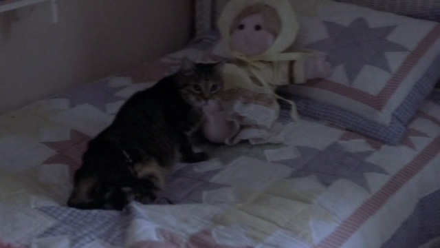 The Hunted - tabby cat Kitty on girl's bed