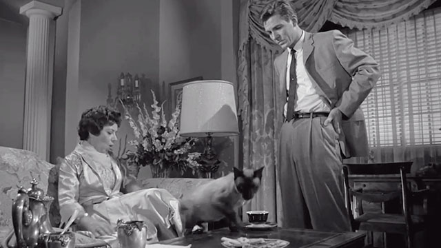 The Hypnotic Eye - woman on couch with Siamese cat eating on coffee table and Detective Kennedy Joe Partridge