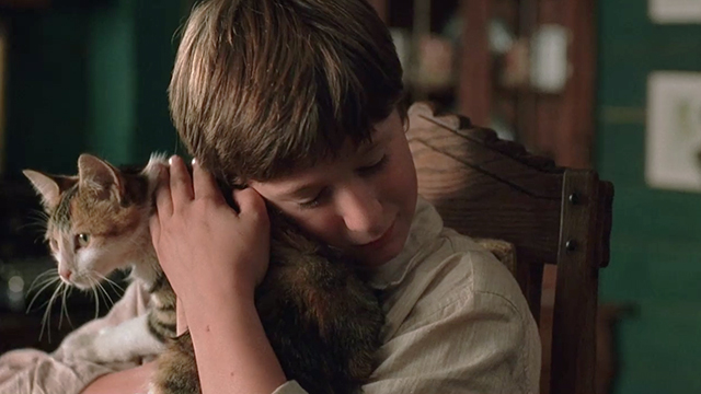 I Am David - David Ben Tibber hugging torbie cat Annette