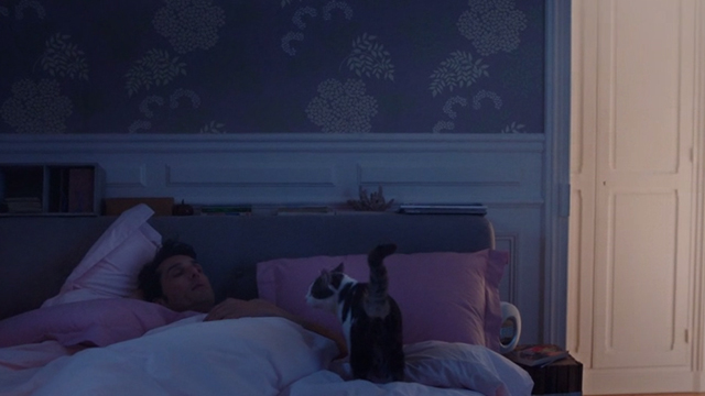 I Am Not an Easy Man - Damien Vincent Elbaz on bed with gray and white cat Rocco