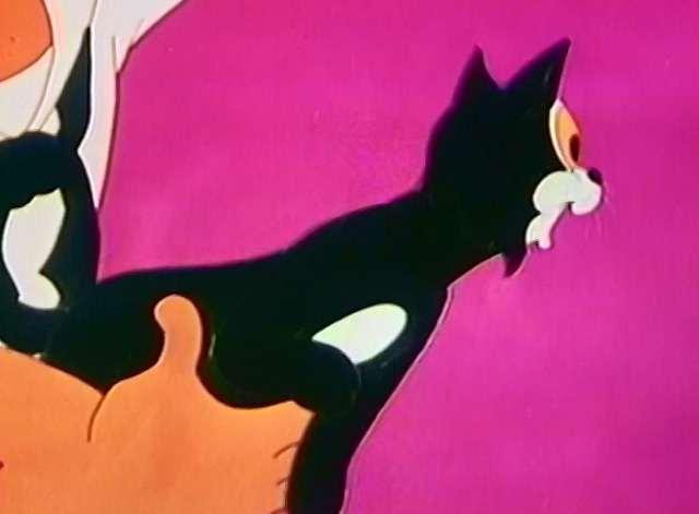 I Don't Scare  - black cat spots goldfish bowl across the room
