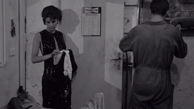 I Knew Her Well - Adrianna Stefania Sandrelli sees small tabby cat with Italo Franco Nero