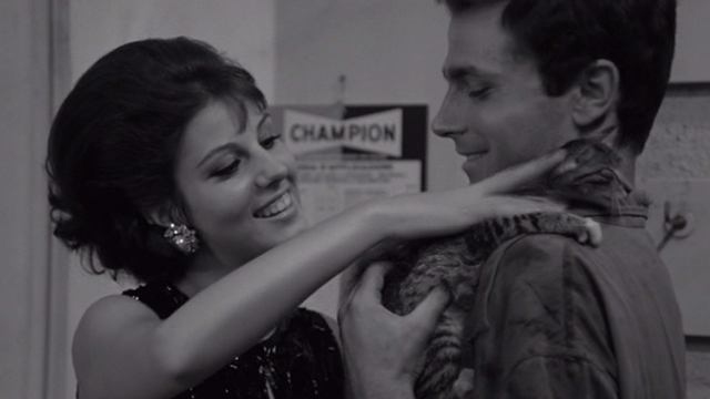 I Knew Her Well - Adrianna Stefania Sandrelli pets small tabby cat held by Italo Franco Nero