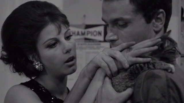 I Knew Her Well - Italo Franco Nero grabs Adrianna Stefania Sandrelli's hand while petting small tabby cat