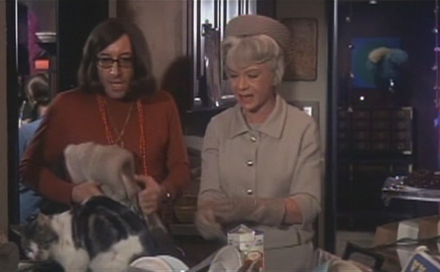 I Love You, Alice B. Toklas cat