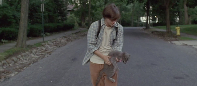 Imaginary Heroes - Tim Travis Emile Hirsch carrying gray cat down street