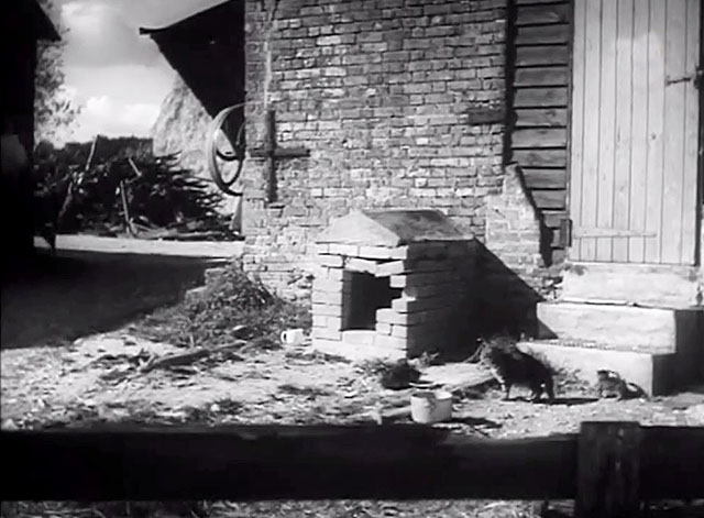 I Met a Murderer - cats standing in farmyard