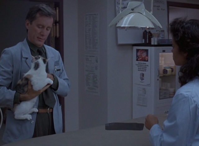 Immediate Family - Michael James Woods holding calico cat with assistant in veterinarian's clinic