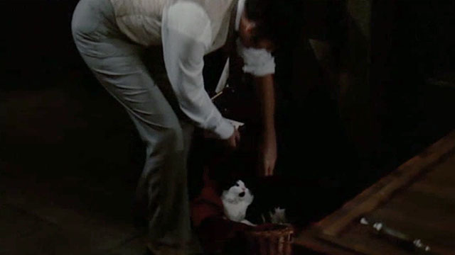 I, Monster - longhair black and white cat being picked up by Marlowe Christopher Lee