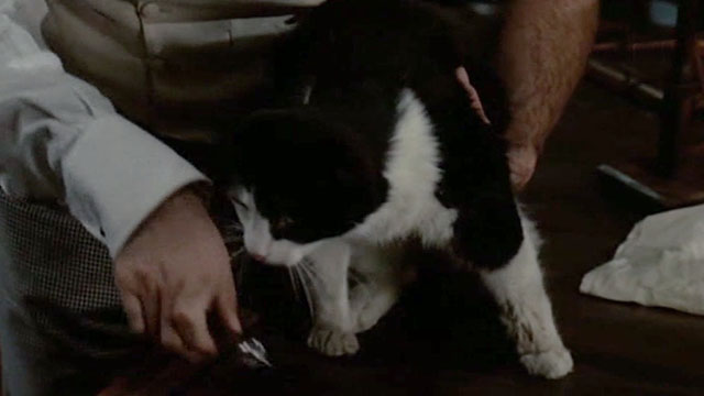 I, Monster - longhair black and white cat about to be injected by Marlowe Christopher Lee