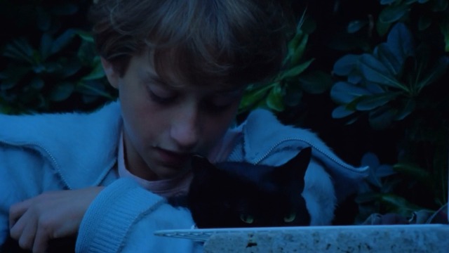 Incompresa - Aria holding black cat Dac