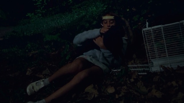 Incompresa - Aria sleeps on leaves in park with black cat Dac