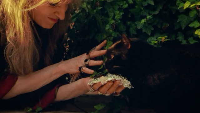 Incompresa - Aria hugs black cat Dac