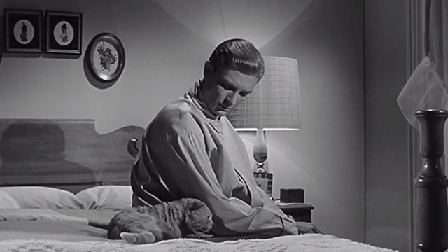 The Incredible Shrinking Man - Scott Carey Grant Williams sitting on bed next to ginger tabby cat Butch Orangey