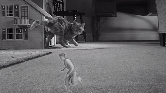The Incredible Shrinking Man - Scott Carey Grant Williams running with giant ginger tabby cat Butch Orangey in background