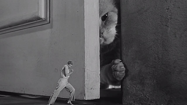 The Incredible Shrinking Man - Scott Carey Grant Williams trying to close large door against ginger tabby cat Butch Orangey