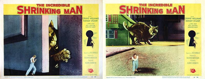 The Incredible Shrinking Man - color lobby cards featuring cat