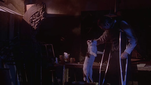 Inferno - Kazanian Sacha Pitoëff picking up gray tuxedo cat by scruff