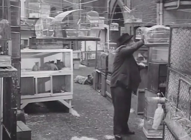 Underworld Informers - Hymie Bernard Goldman with animals in alley kittens in cage