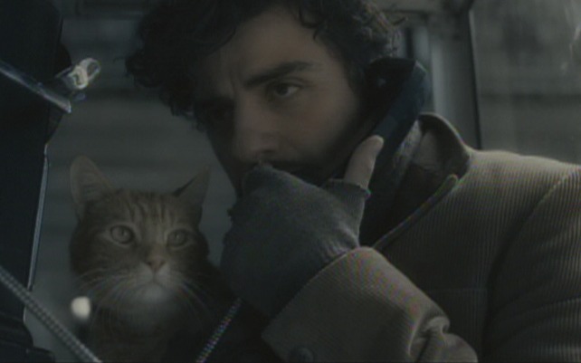 Inside Llewyn Davis cat