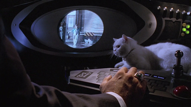 Inspector Gadget - white cat Sniffy sitting on console