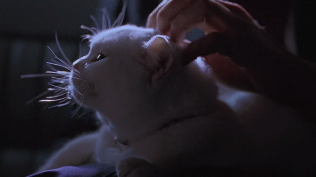 Inspector Gadget - white cat Sniffy being petted