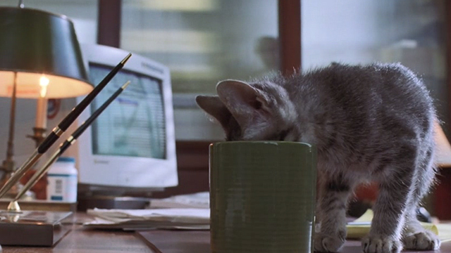 Inspector Gadget - tabby kitten drinking from mug on desk
