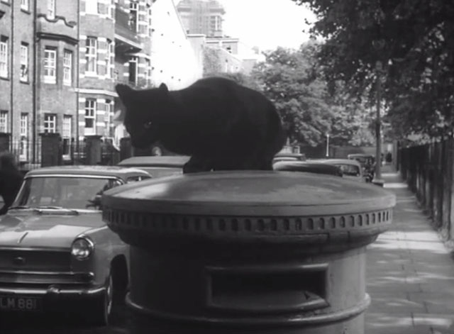 In the Doghouse - black cat on British mail box