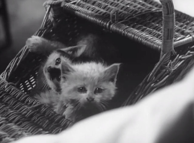 In the Doghouse - two sad kittens in wicker basket