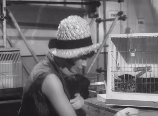 In the Doghouse - longhair tabby cat in cage behind Miss Fordyce Fenella Fielding