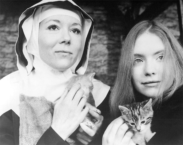 In This House of Brede - Phillipa Diana Rigg and Sister Joanna Judi Bowker holding grey and white and ginger tabby kittens publicity photo