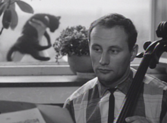 Intimate Lighting - black kitten outside window