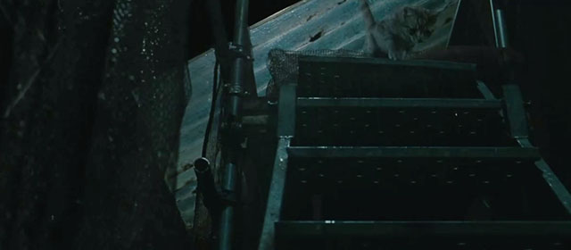 Intruders - ginger tabby cat Meow on scaffolding