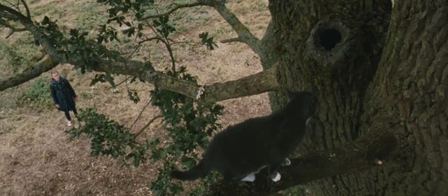 Intruders - gray tuxedo cat Winnie in tree with Mia Ella Purnell below