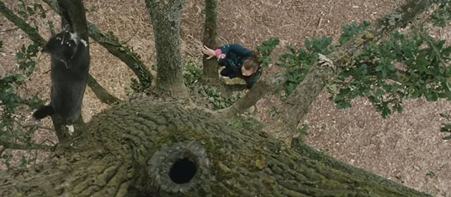 Intruders - gray tuxedo cat Winnie in tree with Mia Ella Purnell below