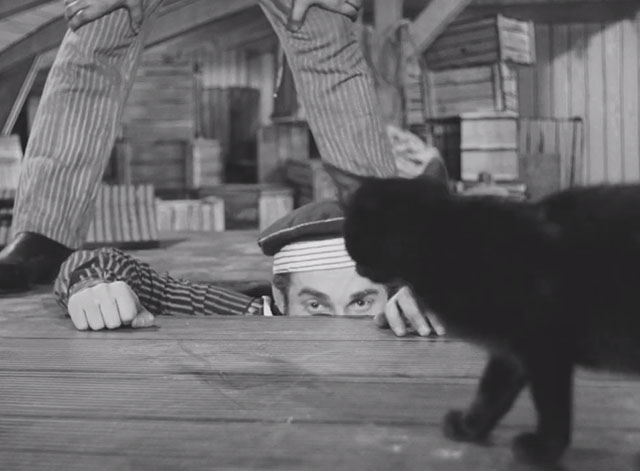 Invention for Destruction - Vynález zkázyaka - black cat on deck walking past sailor