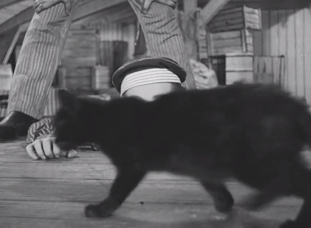 Invention for Destruction - Vynález zkázyaka - black cat walking on deck