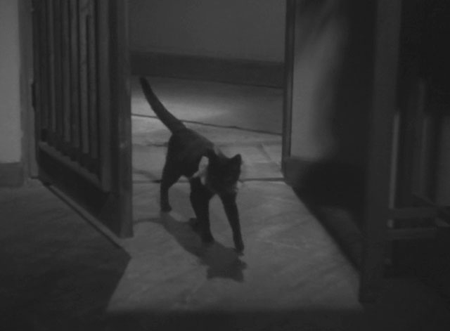 The Invisible Man Appears - Tômei ningen arawaru - black cat with ruffed collar walking into room