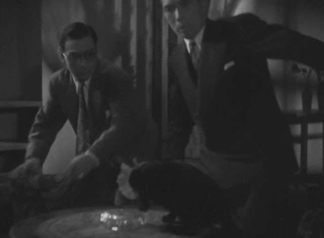 The Invisible Man Appears - Tômei ningen arawaru - black cat with ruffed collar tossed onto table