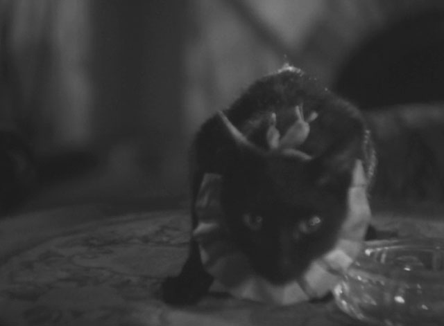 The Invisible Man Appears - Tômei ningen arawaru - black cat with ruffed collar sitting on table