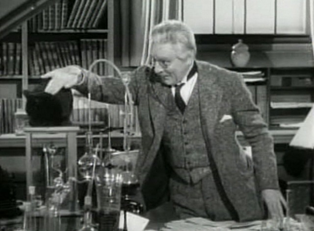 The Invisible Woman - black cat being petted by Professor Gibbs