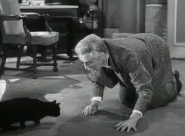 The Invisible Woman - black cat approaches Professor Gibbs