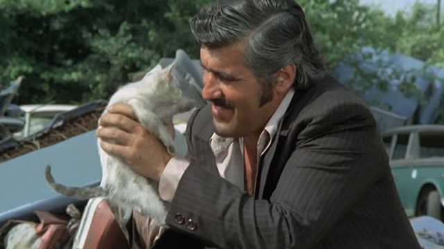 The Italian Connection - dirty white kitten being held by Luca Canali Mario Adorf