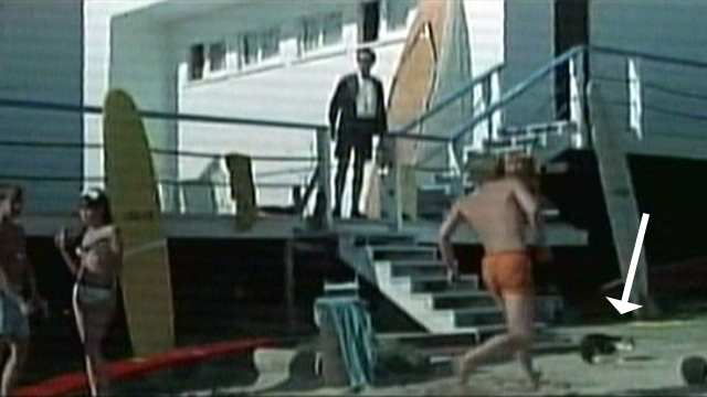 It's a Bikini World - tabby and white cat on beach as man retrieves volleyball