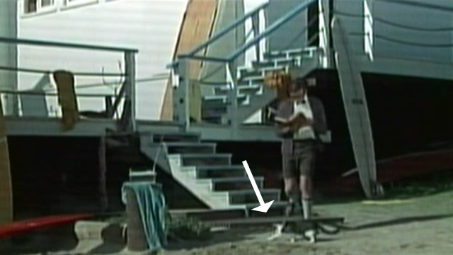 It's a Bikini World - tabby and white cat on beach running in front of Mike Herbert Tommy Kirk