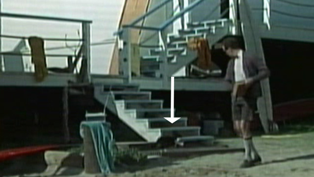 It's a Bikini World - tabby and white cat on beach as Mike Herbert Tommy Kirk walks by