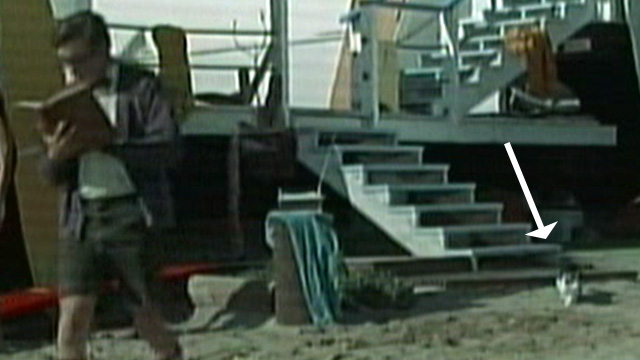 It's a Bikini World - tabby and white cat on beach as Mike Herbert Tommy Kirk walks away