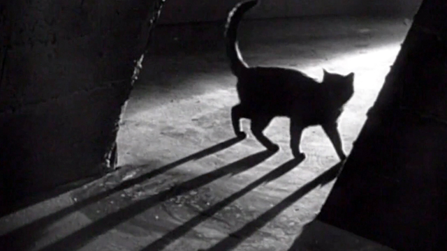 It's Showtime - silhouette from The Black Cat 1934 (https://cinemacats.com/the-black-cat-1934/)