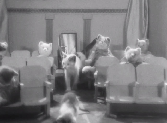 It's the Cats - real and stuffed kittens in seats of theater